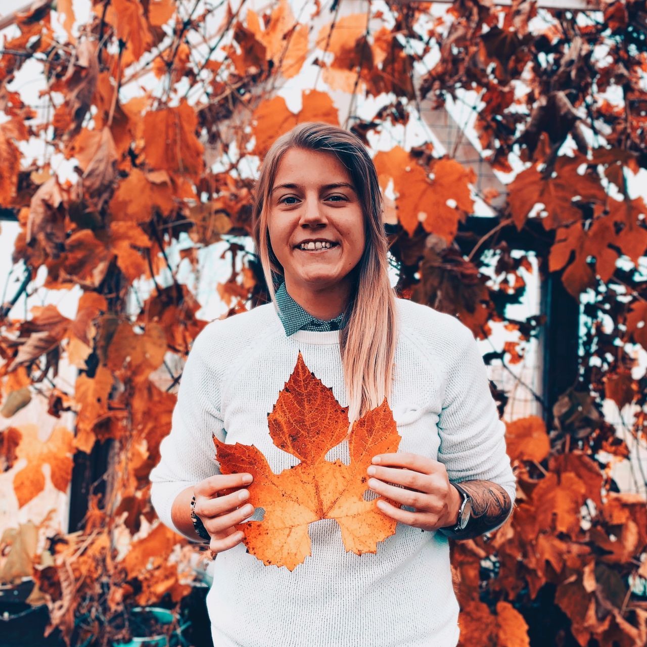 smiling, autumn, one person, front view, change, orange color, portrait, happiness, looking at camera, leaf, leisure activity, plant part, young adult, nature, lifestyles, day, real people, emotion, holding, leaves, maple leaf, outdoors