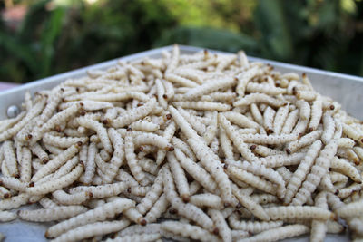 High angle view of crab in market