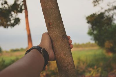 Close-up of hand holding tree trunk against sky