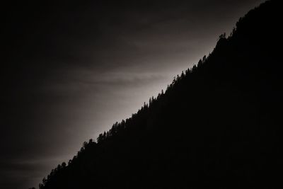 Low angle view of trees against sky