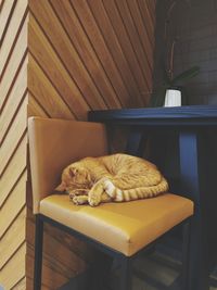 Cat sleeping on table