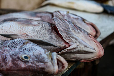 Fish market scenes