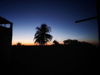 Silhouette palm trees against clear sky at sunset