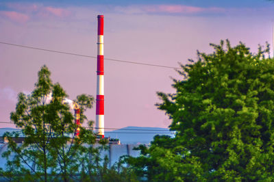 Low angle view of trees against sky