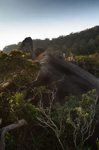 Scenic view of landscape against clear sky