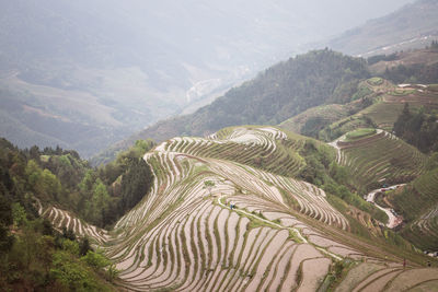 High angle view of green landscape against mountains