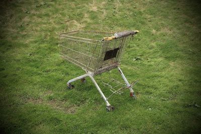 Close-up of green grass