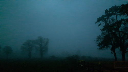 Silhouette trees against sky at night