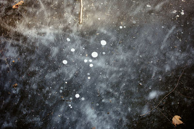 Close-up of snowflakes on snow