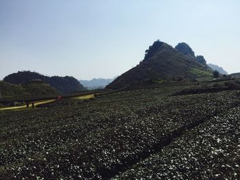 Scenic view of mountains against clear sky