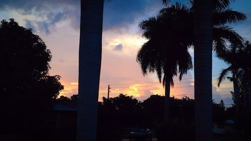 Low angle view of silhouette palm trees against cloudy sky