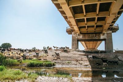 Bridge over river against sky