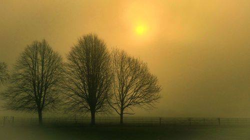 Silhouette bare tree against sky during sunset