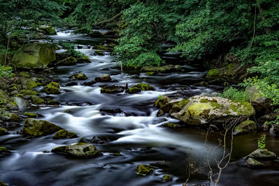 Stream flowing through rocks in forest