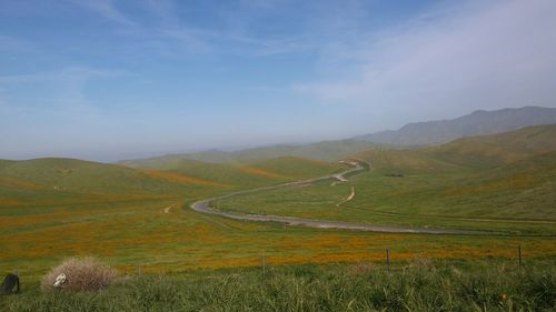 Scenic view of landscape against sky