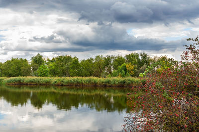 Scenic view of lake by trees against sky