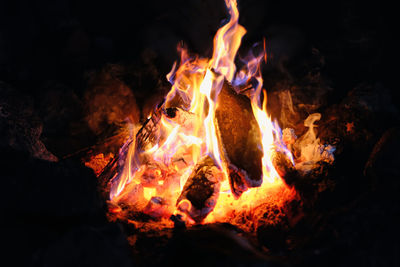 Close-up of bonfire at night