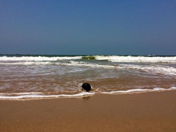 Scenic view of sea at beach against clear sky