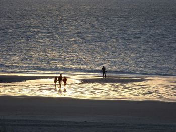 Dog running on beach