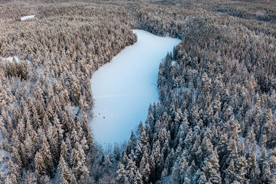 People walking on frozen lake halkolampi from drone perspective, luukki espoo, vihti, finland