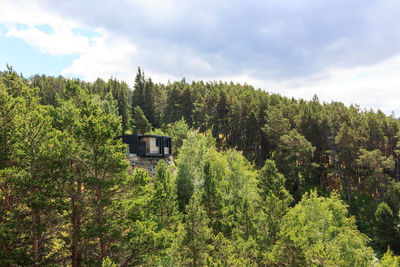 View of trees against sky