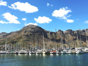 Sailboats moored at harbor against sky