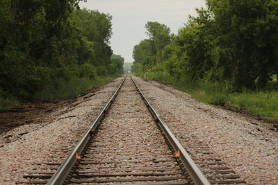 Railway tracks amidst trees against sky