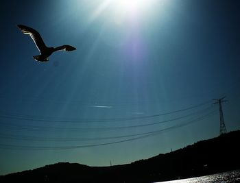 Low angle view of birds flying in sky