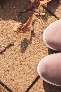 Low section of woman standing on ground