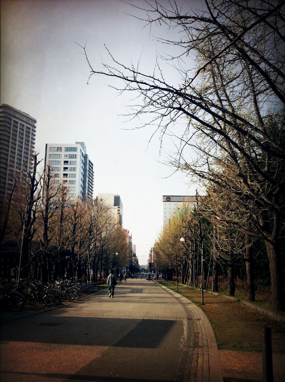 building exterior, architecture, built structure, city, the way forward, street, building, diminishing perspective, tree, road, clear sky, city life, sky, skyscraper, transportation, vanishing point, office building, residential building, day, residential structure