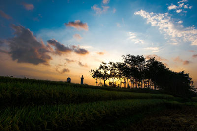 Trees on field against sky during sunset