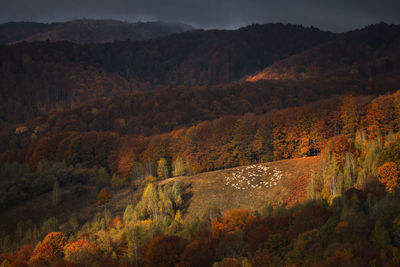 Autumn landscape with mountain villages near brasov, romania.