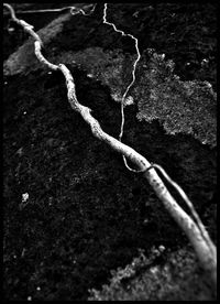 rope