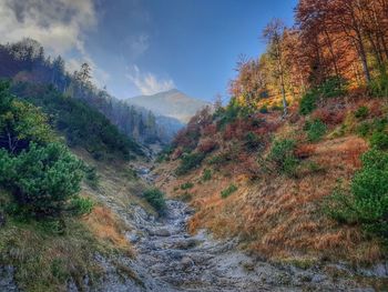 Scenic view of landscape against sky during autumn