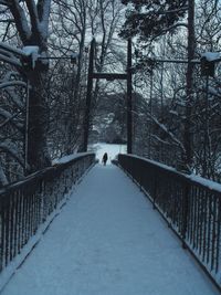 Rear view of person walking on snow covered footbridge in forest