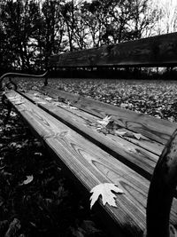 Close-up of wood against sky