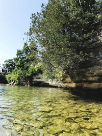 Scenic view of river in forest against clear sky