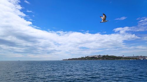 Seagull flying over sea against sky
