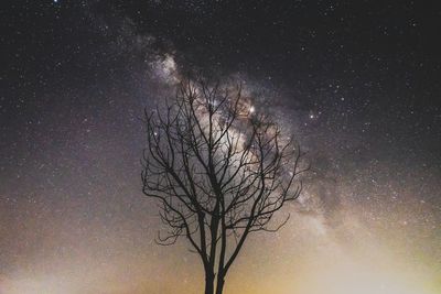 Digital composite image of bare trees against sky at night