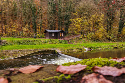 Scenic view of waterfall in forest during autumn