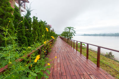 Narrow pathway along calm sea