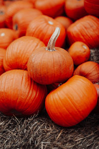 Full frame shot of pumpkins