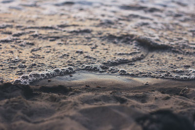 High angle view of sand at beach