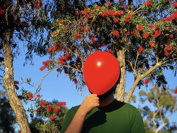 Low angle view of man holding red balloon against flowering tree.