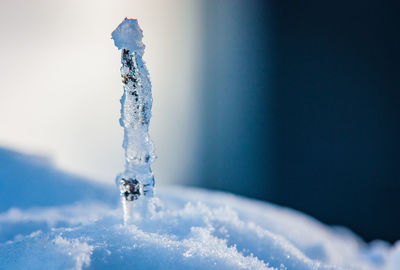 Close-up of ice crystals