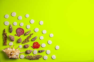 Directly above shot of multi colored candies against green background