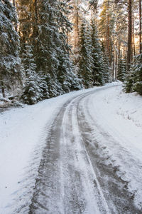 Icy forest road in the winter