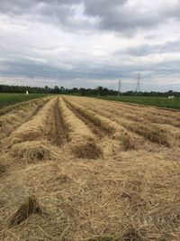 Scenic view of agricultural field against sky