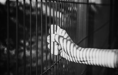 Cropped hand of woman holding fence in sunny day