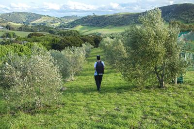 Teenage boy in orchard